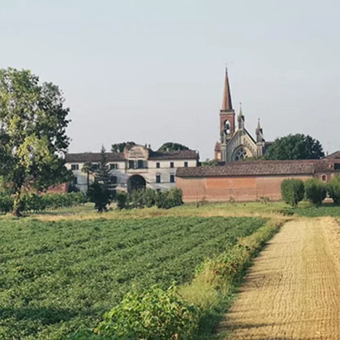 Pic Nic e Caccia alle uova di Pasqua tra i ciliegi