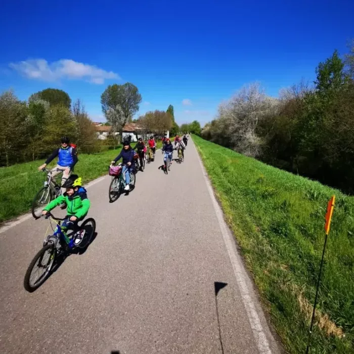 Caccia Alle Uova di Pasqua! - immagine 2